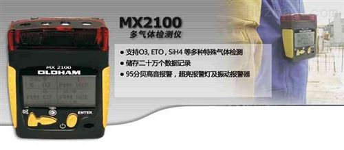 MX2100 复合式气体检测仪