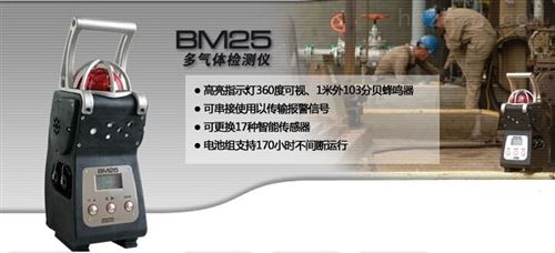 BM25气体监测仪